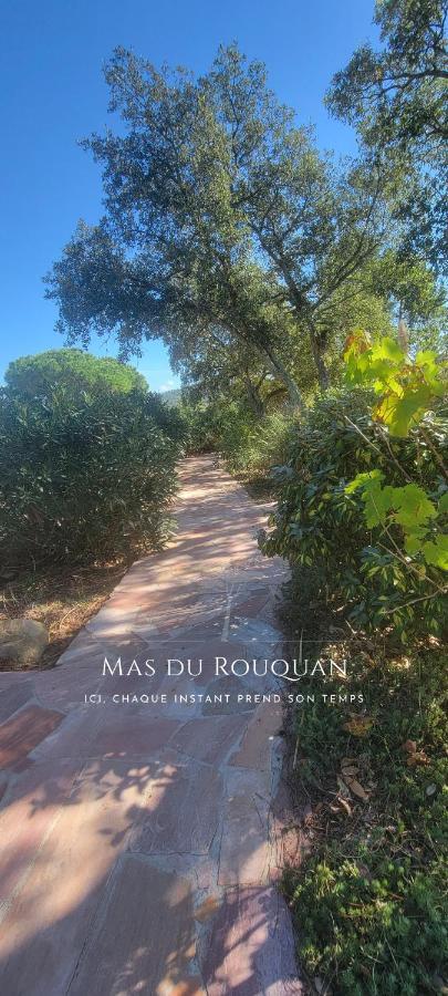 Le Mas Du Rouquan Видобан Екстериор снимка
