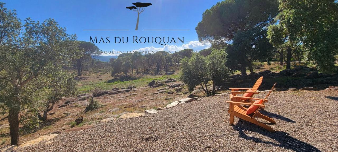 Le Mas Du Rouquan Видобан Екстериор снимка